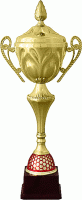 Кубок KBS 206