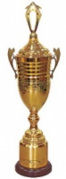 Кубок KBP 66