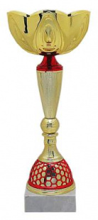 Кубок KBS 80