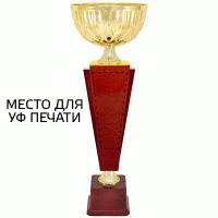 Кубок KBDM 37
