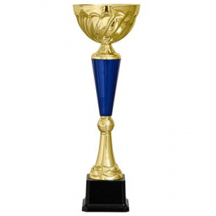 Кубок KBS 69