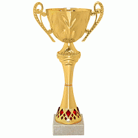 Кубок KBS 208