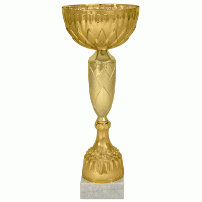 Кубок KBS 39