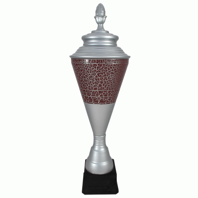 Кубок KBP 80