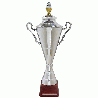 Кубок KBP 81