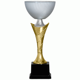 Кубок KBHS 07