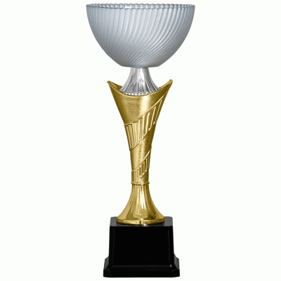 Кубок KBHS 07
