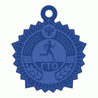 Медаль ГТО MDGTO 19