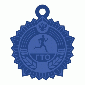 Медаль ГТО MDGTO 19