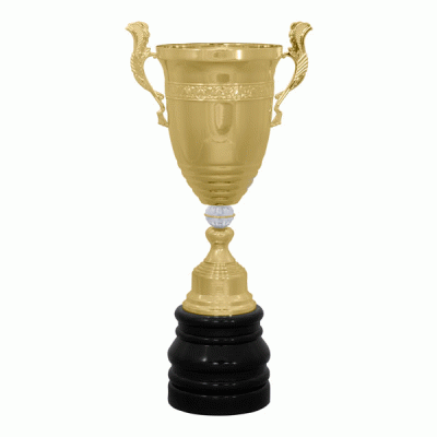 Кубок KBDM 12