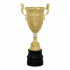 Кубок KBDM 12