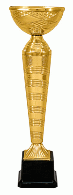 Кубок KBE 48