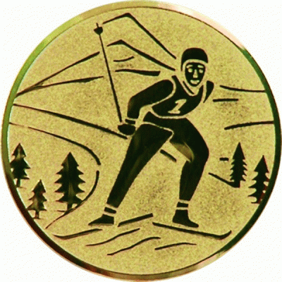 Эмблема 25 мм Лыжный спорт EMB 76