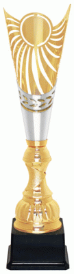 Кубок KBS 113