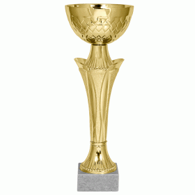 Кубок KBE 78