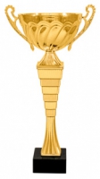 Кубок KBS 06