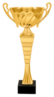Кубок KBS 06