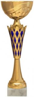 Кубок KBS 81