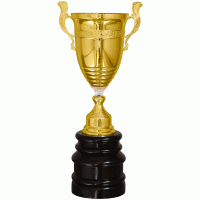 Кубок KBDM 12