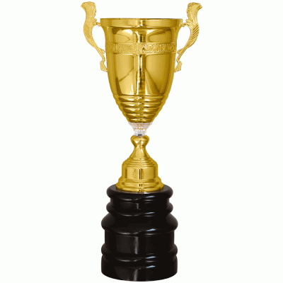 Кубок KBDM 12