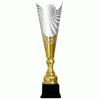 Кубок KBS 113