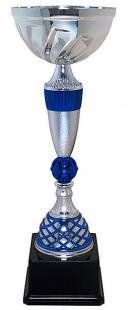 Кубок KBS 13