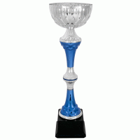 Кубок KBS 207
