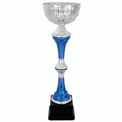 Кубок KBS 207