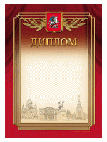 Диплом DPGR 17