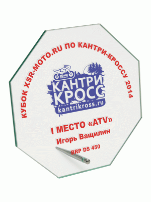 Награда NGS 12