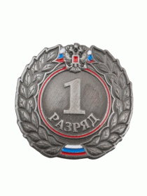 Разрядный знак ZNR 06