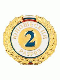 Разрядный знак ZNR 09