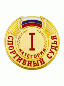 Разрядный знак ZNR 11