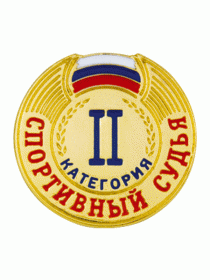 Разрядный знак ZNR 12