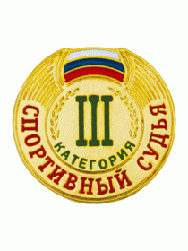 Разрядный знак ZNR 13