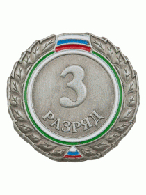 Разрядный знак ZNR 15