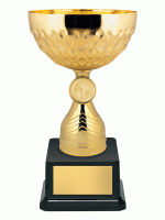 Кубок KBS 223