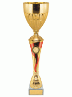 Кубок KBS 224