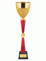 Кубок KBS 226