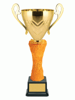 Кубок KBO 05
