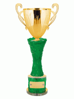 Кубок KBO 06