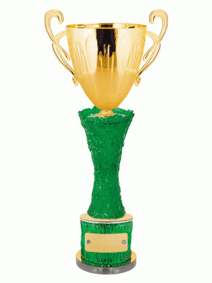 Кубок KBO 06