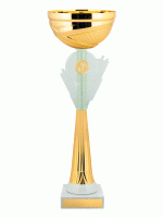 Кубок KBS 246