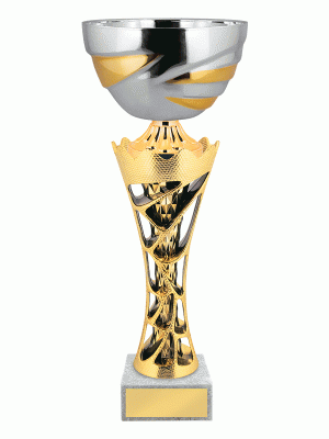 Кубок KBS 256
