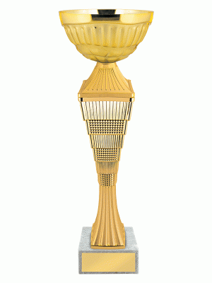 Кубок KBE 138