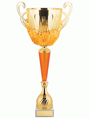 Кубок KBO 25