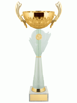 Кубок KBS 271