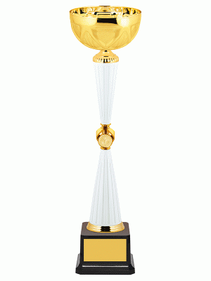 Кубок KBE 148