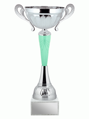 Кубок KBS 283