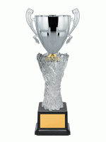 Кубок KBO 35